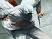 Assassin's Creed confirm� sur PSP