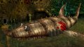 Banjo-Kazooie XLA : premi�res images