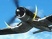 Battlefield 1943 Pacific en 2 images