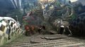 TGS 08 > Bayonetta en images et vid�o