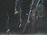 GC 08 > Bayonetta : en passant
