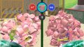 E3 07 > Beautiful Katamari exhib�