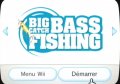 Big Catch Bass Fishing