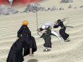 TGS 08 > Bleach : Versus Crusade