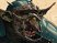 Nouvelles images de Blood Bowl
