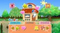 Harvest Moon : Farm Shop en images
