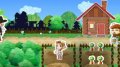 Harvest Moon : Farm Shop en images