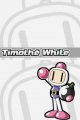 Bomberman Land Touch!