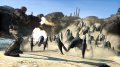 Borderlands fait peau neuve