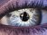 E3 08 > Borderlands en images et vid�o