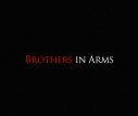 Brothers in Arms : Earned In Blood