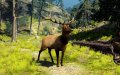 Cabela's Big Game Hunter 2010 annonc�