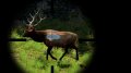 Cabela's Big Game Hunter 2010 annonc�