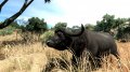 Cabela's Big Game Hunter 2010 annonc�