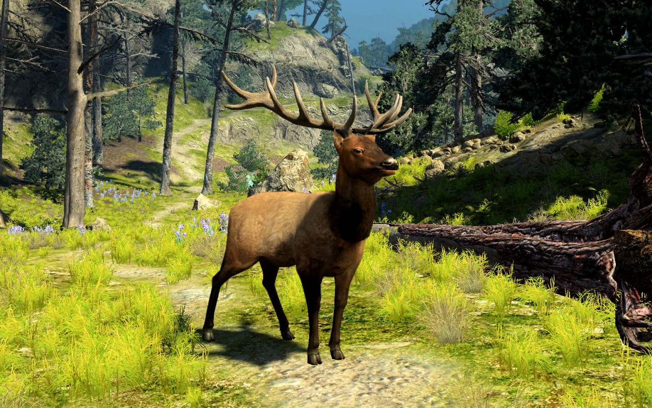 http://img.jeuxactu.com/datas/images/jeux/Cabelas_Big_Game_Hunter_2010/screenshots/xl/4a8ede3d55261.jpg