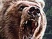 Cabela's Big Game Hunter 2010 annonc�