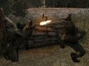 Call of Duty 2 : Big Red One