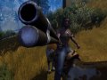 Call of Juarez