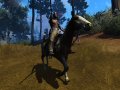 Call of Juarez