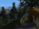 Call of Juarez