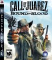 Une date ferme pour Call of Juarez 2