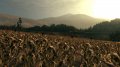 Nouveaux screens de Call of Juarez 2