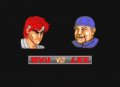 Capcom Classics Collection Volume 2