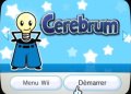Cerebrum