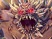DC Universe Online pr�sente Doomsday