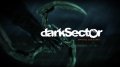 Dark Sector