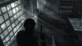 Dark Sector