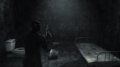 Dark Sector