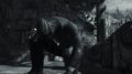 Dark Sector