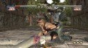 Dead or Alive 4