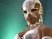 Cortana dans DOA 4 ?