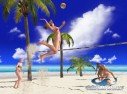 Dead or Alive : Xtreme Beach Volleyball