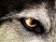 Dead to Rights : Retribution s'illustre