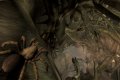 Deadly Creatures est de retour en images