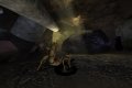 Deadly Creatures est de retour en images