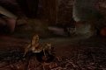 Deadly Creatures est de retour en images