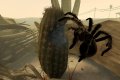 17 nouvelles images de Deadly Creatures