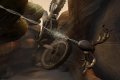 17 nouvelles images de Deadly Creatures