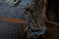 17 nouvelles images de Deadly Creatures