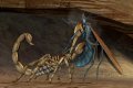 17 nouvelles images de Deadly Creatures