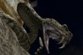 17 nouvelles images de Deadly Creatures