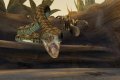 17 nouvelles images de Deadly Creatures
