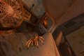 17 nouvelles images de Deadly Creatures