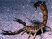 THQ annonce Deadly Creatures