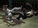 Def Jam Fight for NY
