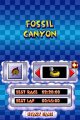 Diddy Kong Racing DS